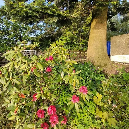 Blick-ueber-hohegeiss Hohegeiß
